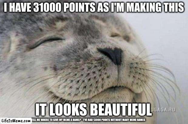 Happy Seal | I HAVE 31000 POINTS AS I'M MAKING THIS; IT LOOKS BEAUTIFUL; ALSO CAN SOMEONE TELL ME WHERE TO GIVE MY MEME A NAME?    I'VE HAD 13000 POINTS WITHOUT MANY MEME NAMES | image tagged in happy seal | made w/ Lifeismeme meme maker