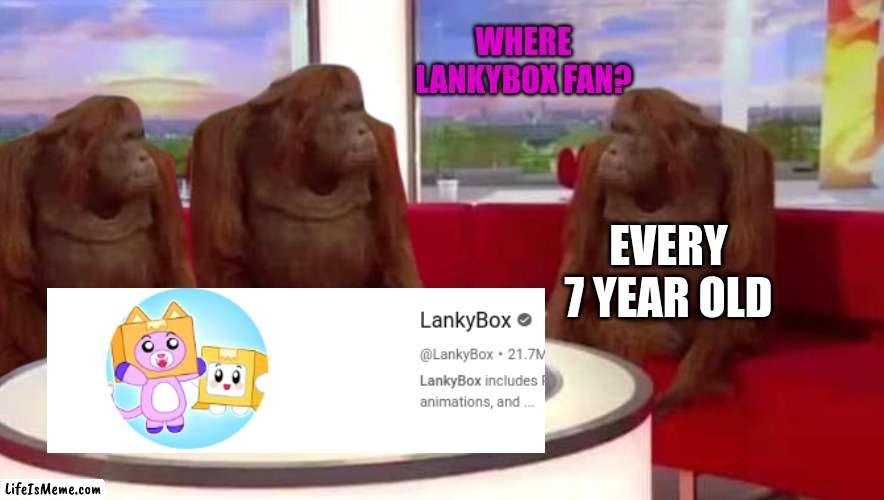 There are no lankybox fans, 7 year olds. | WHERE LANKYBOX FAN? EVERY 7 YEAR OLD | image tagged in where monkey | made w/ Lifeismeme meme maker