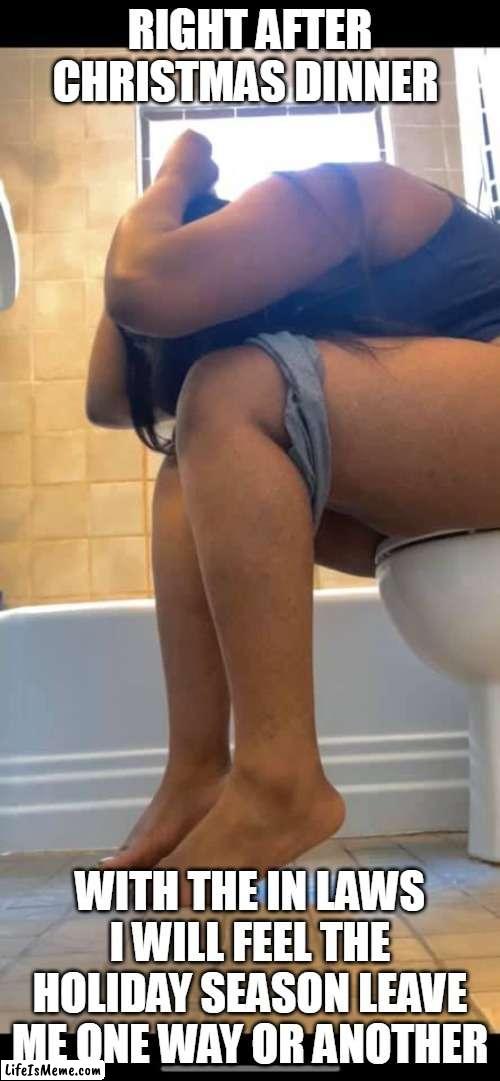 Right after christmas dinner | RIGHT AFTER CHRISTMAS DINNER; WITH THE IN LAWS I WILL FEEL THE HOLIDAY SEASON LEAVE ME ONE WAY OR ANOTHER | image tagged in on the toilet praying,funny,christmas,in-laws,family,happy holidays | made w/ Lifeismeme meme maker