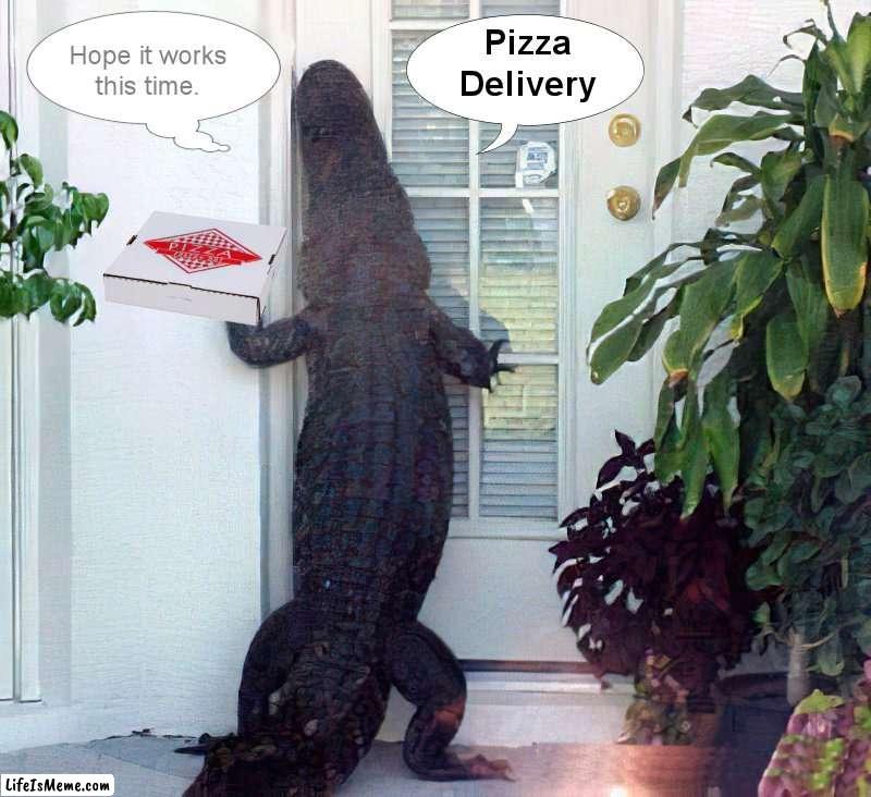 Oh, well ... It's a Living | image tagged in alligator,pizza delivery | made w/ Lifeismeme meme maker