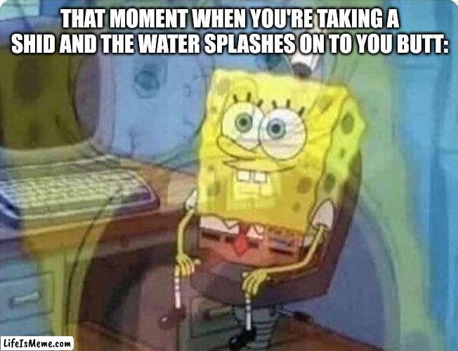 Splish splosh | THAT MOMENT WHEN YOU'RE TAKING A SHID AND THE WATER SPLASHES ON TO YOU BUTT: | image tagged in spongebob screaming inside | made w/ Lifeismeme meme maker