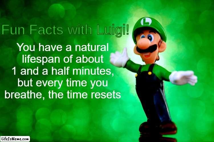 If you think about it, I'm not wrong. | You have a natural lifespan of about 1 and a half minutes, but every time you breathe, the time resets | image tagged in fun facts with luigi | made w/ Lifeismeme meme maker