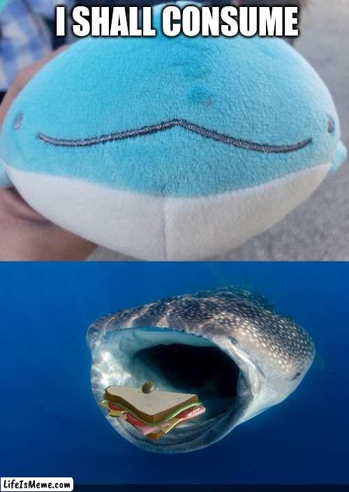 Its a whale shark plush btw | I SHALL CONSUME | image tagged in memes,funny,whale,plush,sandwich,e | made w/ Lifeismeme meme maker