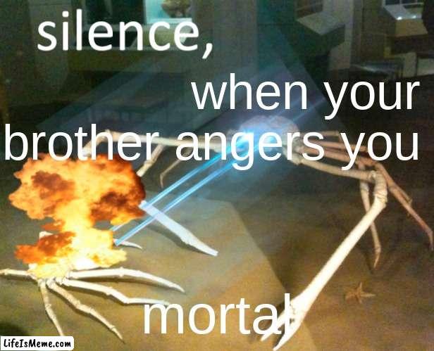 Silence Crab | when your brother angers you; mortal | image tagged in silence crab | made w/ Lifeismeme meme maker