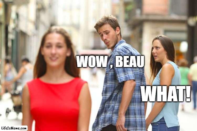 nature calls, distracted | WOW , BEAU; WHAT! | image tagged in memes,distracted boyfriend | made w/ Lifeismeme meme maker