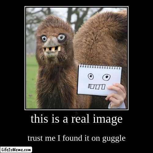 i hid a santa in here. first one to find it wins a new vacuum | image tagged in funny,demotivationals,challenge,google images | made w/ Lifeismeme demotivational maker