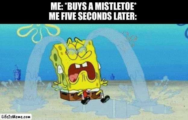 Remembering 2020 Christmas | ME: *BUYS A MISTLETOE*
ME FIVE SECONDS LATER: | image tagged in sad crying spongebob,christmas | made w/ Lifeismeme meme maker