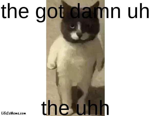 uhhhhh | the got damn uh; the uhh | image tagged in bruh,fun | made w/ Lifeismeme meme maker
