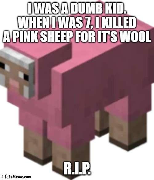 *insert clever title here* | I WAS A DUMB KID. WHEN I WAS 7, I KILLED A PINK SHEEP FOR IT'S WOOL; R.I.P. | image tagged in minecraft | made w/ Lifeismeme meme maker