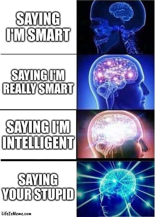 Insert Title For Big Brain Meme Here | SAYING I'M SMART; SAYING I'M REALLY SMART; SAYING I'M INTELLIGENT; SAYING YOUR STUPID | image tagged in memes,expanding brain | made w/ Lifeismeme meme maker