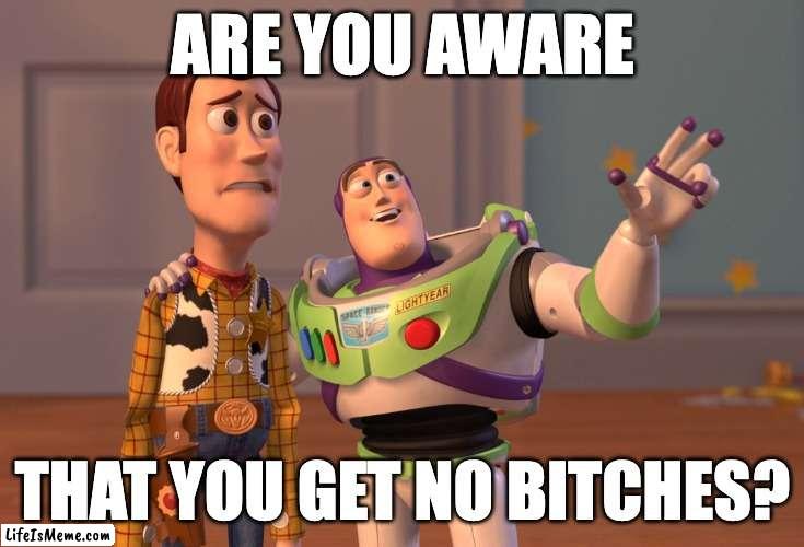 who?? cares. | ARE YOU AWARE; THAT YOU GET NO BITCHES? | image tagged in memes,x x everywhere | made w/ Lifeismeme meme maker