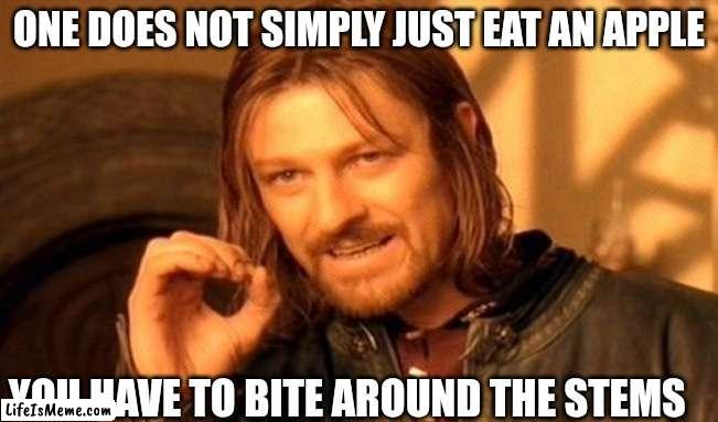 You can't say I'm wrong | ONE DOES NOT SIMPLY JUST EAT AN APPLE; YOU HAVE TO BITE AROUND THE STEMS | image tagged in memes,one does not simply | made w/ Lifeismeme meme maker
