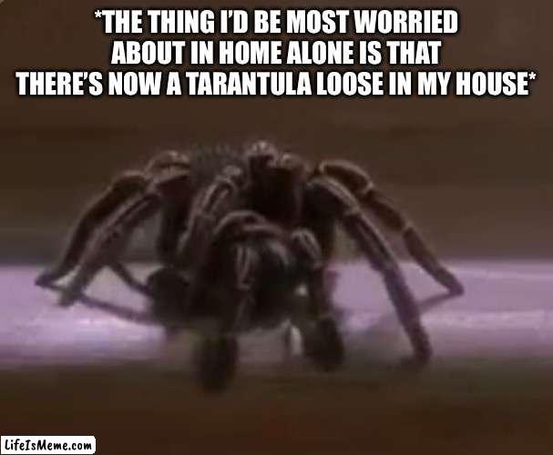 Spider From Home Alone | *THE THING I’D BE MOST WORRIED ABOUT IN HOME ALONE IS THAT THERE’S NOW A TARANTULA LOOSE IN MY HOUSE* | image tagged in home alone,spider,tarantula,movie meme,loose spider | made w/ Lifeismeme meme maker