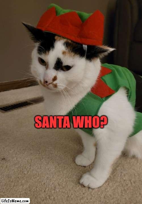 Santa who? | SANTA WHO? | image tagged in santa,bad santa,christmas | made w/ Lifeismeme meme maker