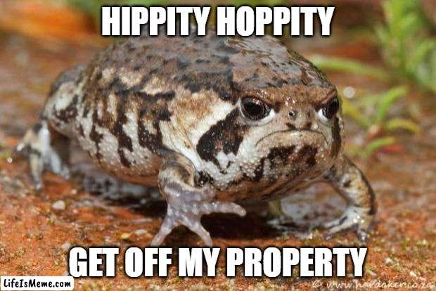 Mad toad | HIPPITY HOPPITY; GET OFF MY PROPERTY | image tagged in memes,grumpy toad | made w/ Lifeismeme meme maker