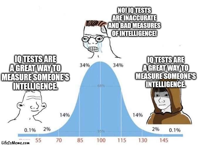 IQ Tests | NO! IQ TESTS ARE INACCURATE AND BAD MEASURES OF INTELLIGENCE! IQ TESTS ARE A GREAT WAY TO MEASURE SOMEONE'S INTELLIGENCE. IQ TESTS ARE A GREAT WAY TO MEASURE SOMEONE'S INTELLIGENCE. | image tagged in bell curve,iq,memes | made w/ Lifeismeme meme maker