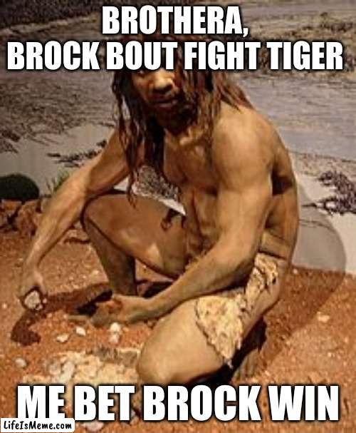 cavemen making bets | BROTHERA, 
BROCK BOUT FIGHT TIGER; ME BET BROCK WIN | image tagged in caveman | made w/ Lifeismeme meme maker