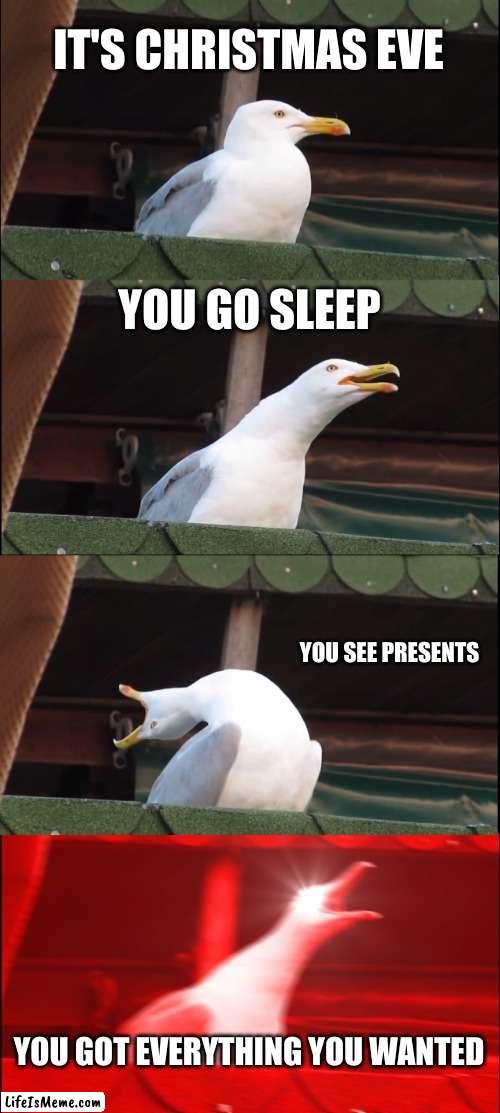 yippee | IT'S CHRISTMAS EVE; YOU GO SLEEP; YOU SEE PRESENTS; YOU GOT EVERYTHING YOU WANTED | image tagged in memes,inhaling seagull,yippee,merry christmas | made w/ Lifeismeme meme maker