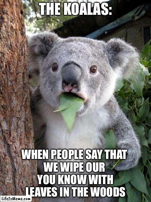Surprised Koala Meme | THE KOALAS:; WHEN PEOPLE SAY THAT 
WE WIPE OUR 
YOU KNOW WITH
LEAVES IN THE WOODS | image tagged in memes,surprised koala | made w/ Lifeismeme meme maker