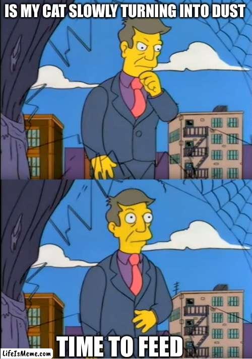 Skinner Out Of Touch | IS MY CAT SLOWLY TURNING INTO DUST; TIME TO FEED | image tagged in skinner out of touch | made w/ Lifeismeme meme maker
