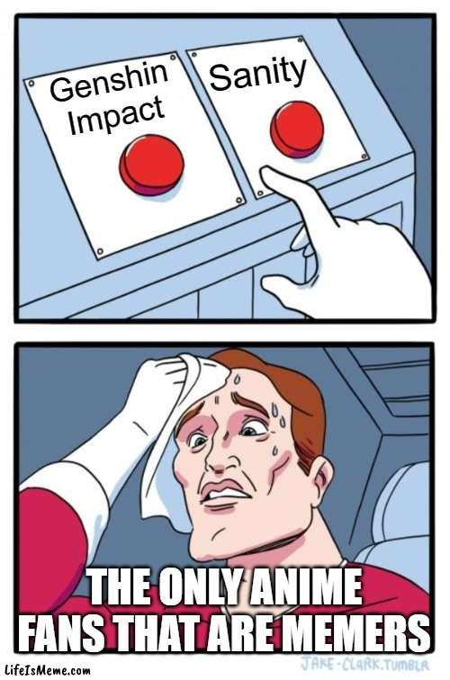 Cringe Be Like | Sanity; Genshin Impact; THE ONLY ANIME FANS THAT ARE MEMERS | image tagged in memes,two buttons | made w/ Lifeismeme meme maker
