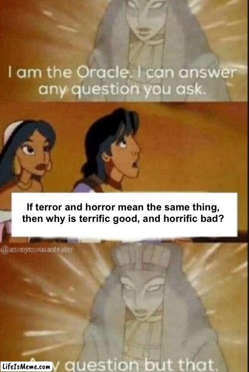 Engrish | If terror and horror mean the same thing, then why is terrific good, and horrific bad? | image tagged in the oracle,memes,funny | made w/ Lifeismeme meme maker