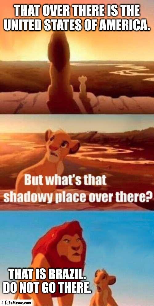 Nope, not going to brazil | THAT OVER THERE IS THE UNITED STATES OF AMERICA. THAT IS BRAZIL. DO NOT GO THERE. | image tagged in memes,simba shadowy place,you're going to brazil | made w/ Lifeismeme meme maker