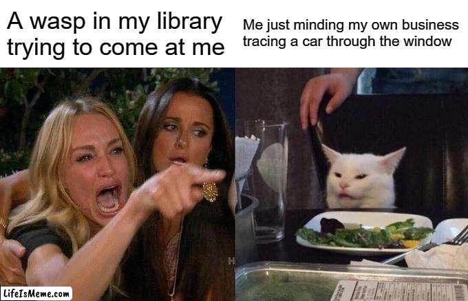 THIS HAPPENED DEC 08 2022 AT 11:40 AM | A wasp in my library trying to come at me; Me just minding my own business tracing a car through the window | image tagged in memes,woman yelling at cat | made w/ Lifeismeme meme maker