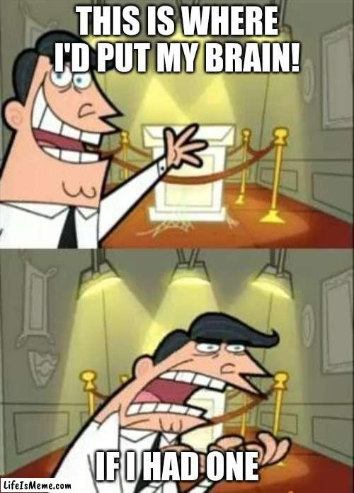 Joe Biden be like.. | THIS IS WHERE I'D PUT MY BRAIN! IF I HAD ONE | image tagged in memes,this is where i'd put my trophy if i had one | made w/ Lifeismeme meme maker