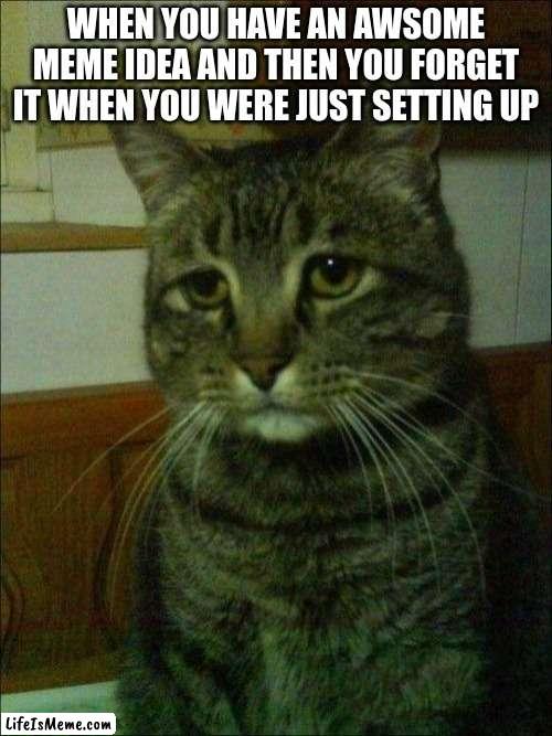 this happend just now | WHEN YOU HAVE AN AWSOME MEME IDEA AND THEN YOU FORGET IT WHEN YOU WERE JUST SETTING UP | image tagged in memes,depressed cat | made w/ Lifeismeme meme maker