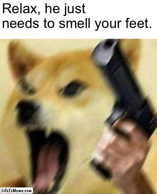 This ain't a dog | Relax, he just needs to smell your feet. | image tagged in angry doge with gun | made w/ Lifeismeme meme maker