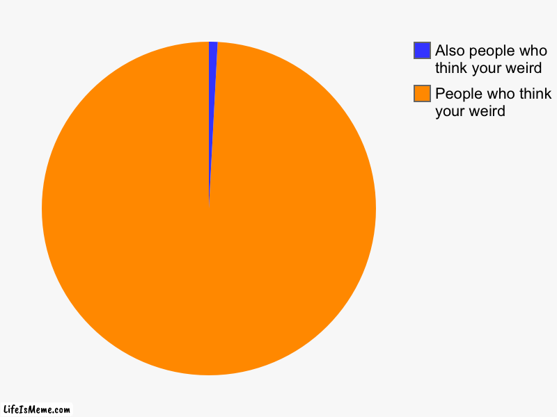 People who think your weird | People who think your weird, Also people who think your weird | image tagged in charts,pie charts | made w/ Lifeismeme chart maker