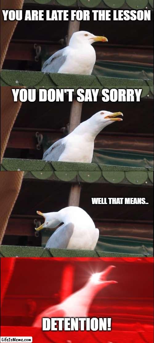 The school in a nutshell | YOU ARE LATE FOR THE LESSON; YOU DON'T SAY SORRY; WELL THAT MEANS.. DETENTION! | image tagged in memes,inhaling seagull | made w/ Lifeismeme meme maker