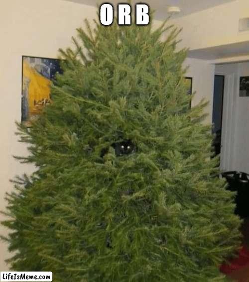Cats lol ? | O R B | image tagged in christmas tree,cute,lol,black cat,why are you reading the tags | made w/ Lifeismeme meme maker