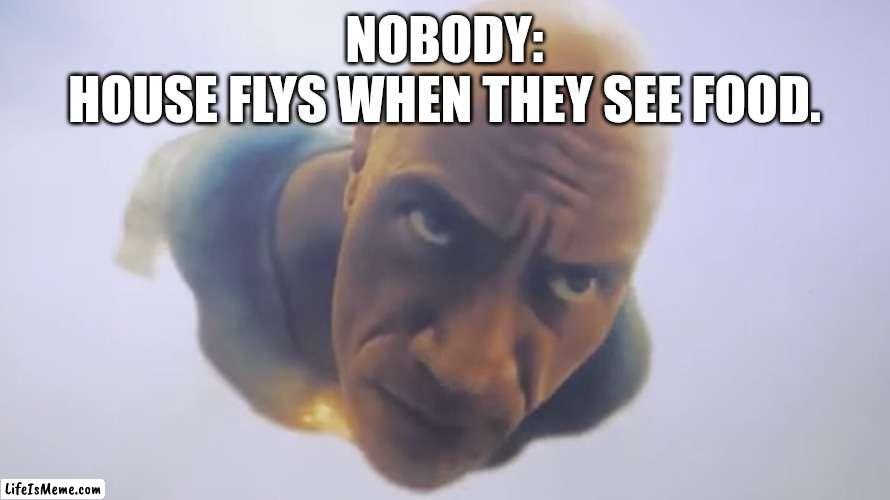 Happens all the time... | NOBODY:
HOUSE FLYS WHEN THEY SEE FOOD. | image tagged in black adam meme | made w/ Lifeismeme meme maker