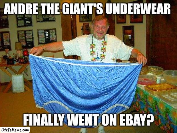 You can sell anything on ebay... | ANDRE THE GIANT'S UNDERWEAR; FINALLY WENT ON EBAY? | image tagged in big underwear,ebay,pro wrestling,giant,dad joke | made w/ Lifeismeme meme maker