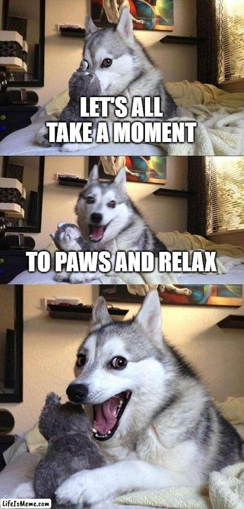 Paws and Relax | LET'S ALL TAKE A MOMENT; TO PAWS AND RELAX | image tagged in memes,bad pun dog | made w/ Lifeismeme meme maker