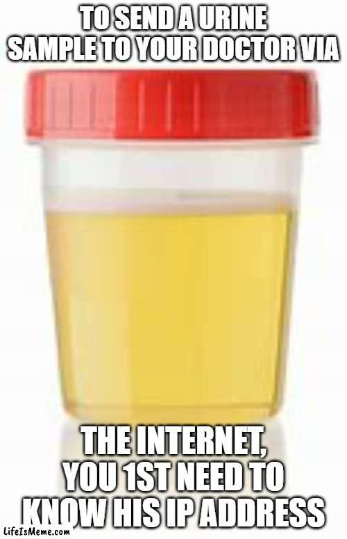 memes by Brad urine sample | TO SEND A URINE SAMPLE TO YOUR DOCTOR VIA; THE INTERNET, YOU 1ST NEED TO KNOW HIS IP ADDRESS | image tagged in medical | made w/ Lifeismeme meme maker