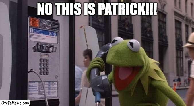 I'm not a Krusty Krab | NO THIS IS PATRICK!!! | image tagged in kermit phone,memes,patrick | made w/ Lifeismeme meme maker