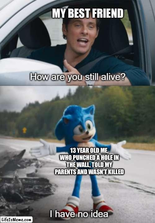 I have no idea | MY BEST FRIEND; 13 YEAR OLD ME, WHO PUNCHED A HOLE IN THE WALL, TOLD MY PARENTS AND WASN’T KILLED | image tagged in sonic how are you still alive | made w/ Lifeismeme meme maker