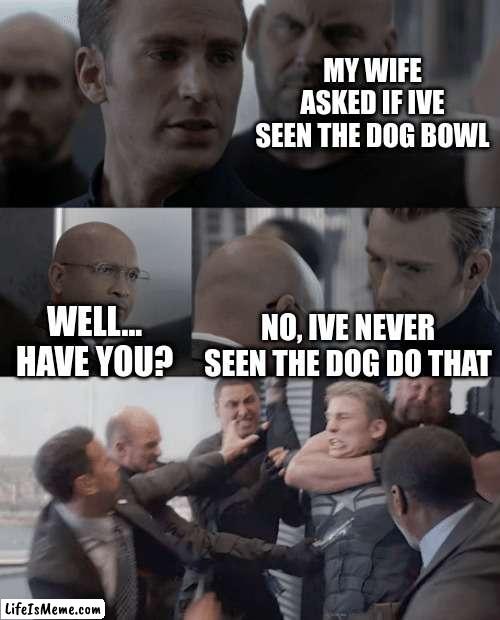 The bowling dog | MY WIFE ASKED IF IVE SEEN THE DOG BOWL; WELL... HAVE YOU? NO, IVE NEVER SEEN THE DOG DO THAT | image tagged in captain america elevator,dog,dad joke,funny,memes,dankmemes | made w/ Lifeismeme meme maker