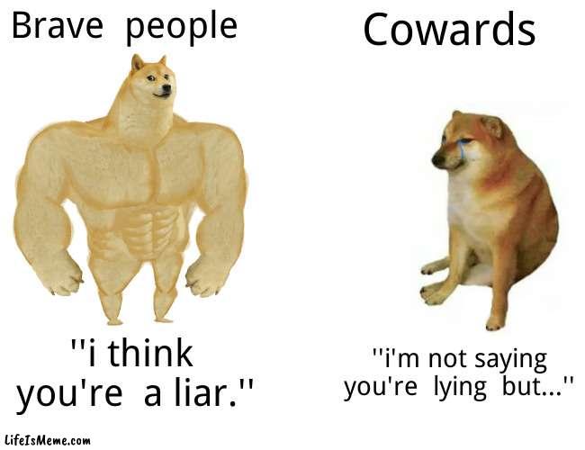 I hate this  phrase | Brave  people; Cowards; ''i think  you're  a liar.''; ''i'm not saying you're  lying  but...'' | image tagged in memes,buff doge vs cheems | made w/ Lifeismeme meme maker