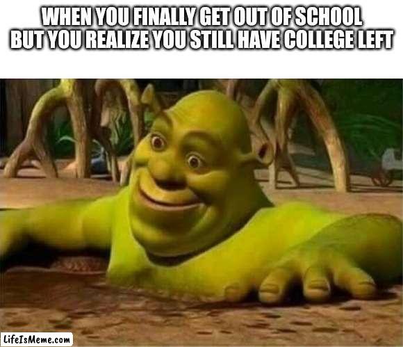 God dam it | WHEN YOU FINALLY GET OUT OF SCHOOL BUT YOU REALIZE YOU STILL HAVE COLLEGE LEFT | image tagged in shrek | made w/ Lifeismeme meme maker