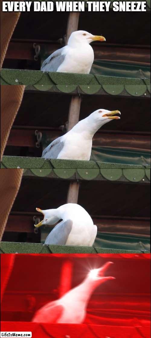 free Potchi | EVERY DAD WHEN THEY SNEEZE | image tagged in memes,inhaling seagull | made w/ Lifeismeme meme maker