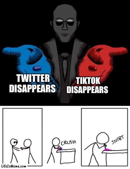Snorting the Blue Pill and Red Pill | TIKTOK DISAPPEARS; TWITTER DISAPPEARS | image tagged in snorting the blue pill and red pill,memes,funny | made w/ Lifeismeme meme maker