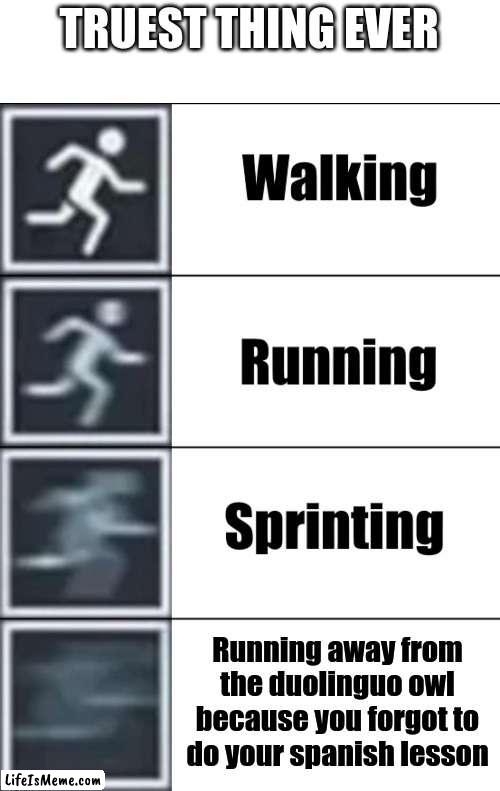 Duo is coming for you | TRUEST THING EVER; Running away from the duolinguo owl because you forgot to do your spanish lesson | image tagged in very fast,fun,duolingo,lol,lolol | made w/ Lifeismeme meme maker