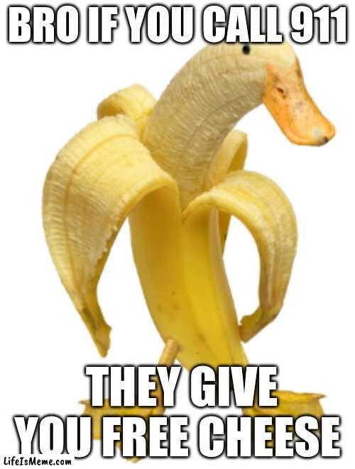 free cheese hack | BRO IF YOU CALL 911; THEY GIVE YOU FREE CHEESE | image tagged in banuck | made w/ Lifeismeme meme maker