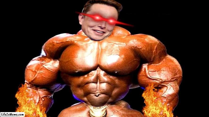 Elon Buff | image tagged in funny memes,elon musk | made w/ Lifeismeme meme maker