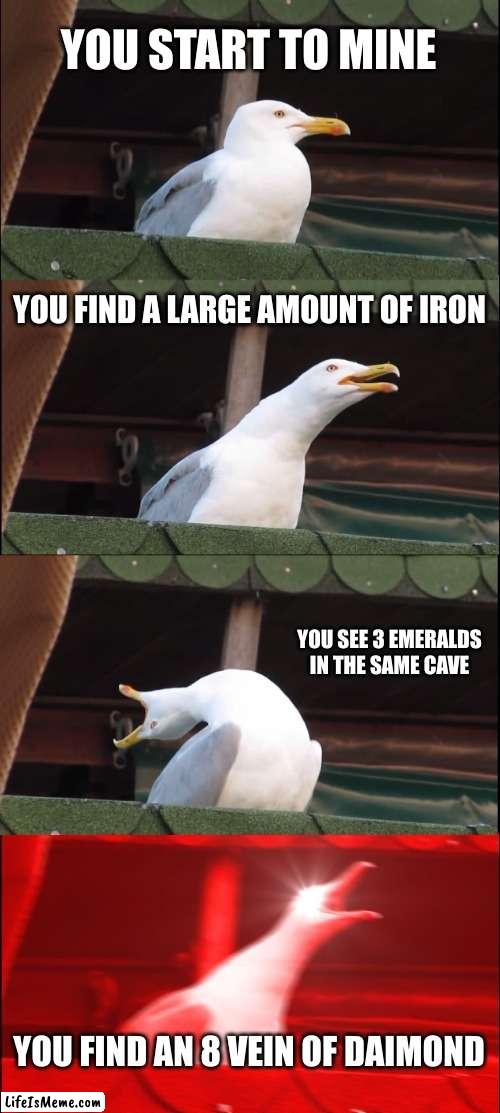 mining in minecraft be like | YOU START TO MINE; YOU FIND A LARGE AMOUNT OF IRON; YOU SEE 3 EMERALDS IN THE SAME CAVE; YOU FIND AN 8 VEIN OF DAIMOND | image tagged in memes,inhaling seagull | made w/ Lifeismeme meme maker
