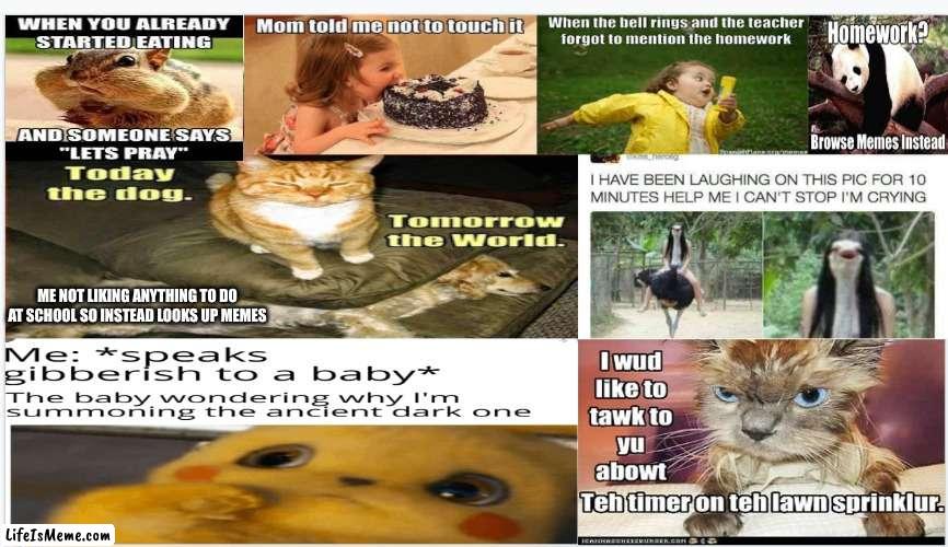 too much | ME NOT LIKING ANYTHING TO DO AT SCHOOL SO INSTEAD LOOKS UP MEMES | image tagged in bruhh | made w/ Lifeismeme meme maker